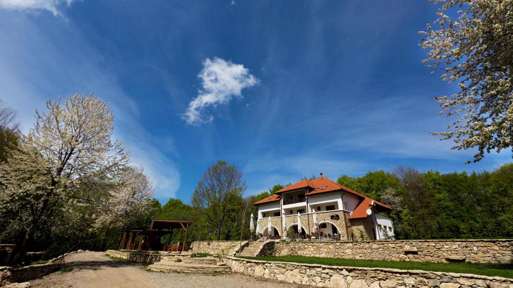 Cetatuia Hotel Magura  Bagian luar foto